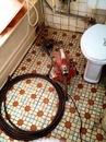 廁所水管不通